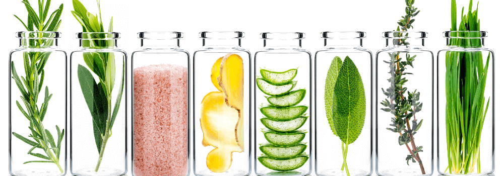 natural Ingredients for radiant skin| Aloe Vera 