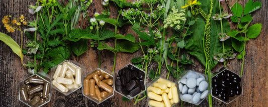 Herbal Supplements: Can They Support Your Skincare Routine?