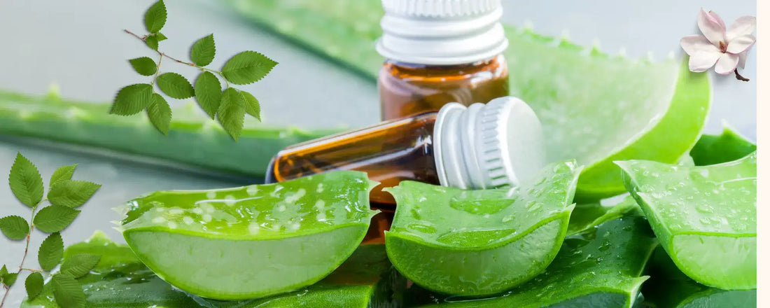 Natural Ingredients for Glowing Skin: 10 Top-Rated Ingredients to Know