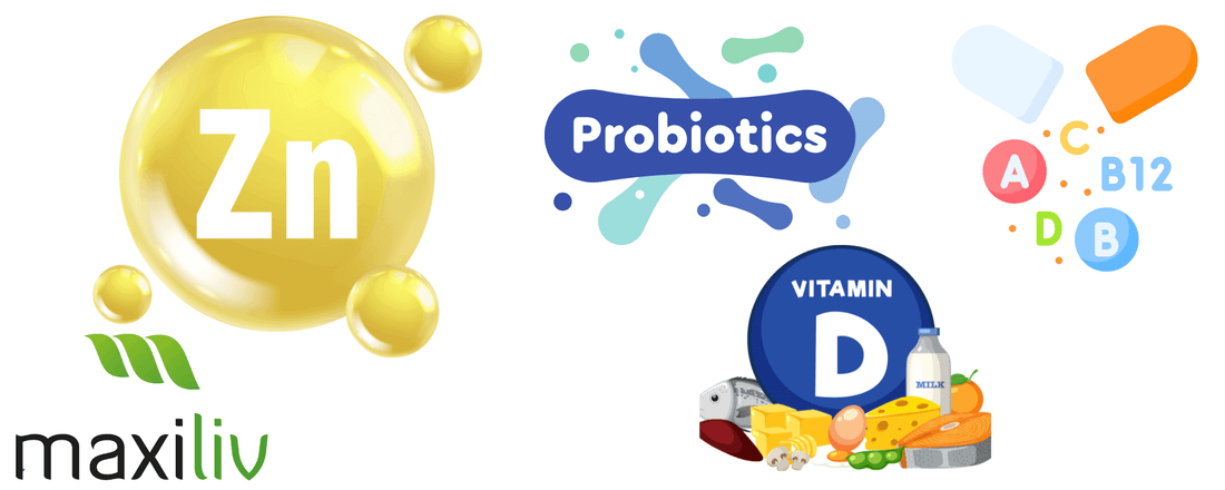Supplements and Multivitamins for Strong Immunity in UAE with Zinc, Probiotics, and Vitamin D.